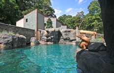 National Zoo Seal and Sea Lion House